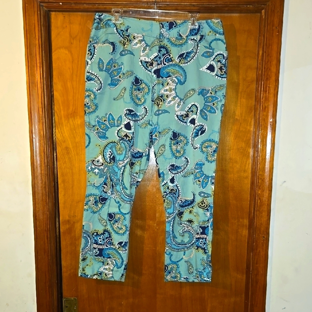 Stylish Paisley Print Pants in Blue and Green